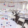 Big Dot of Happiness Stars & Stripes - Patriotic Party Supplies Decoration Kit - Decor Galore Party Pack - 51 Pieces - image 3 of 4