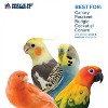 Prevue Pet Products Sound & Movement Birdie Basics Lantern Mirror Bird Toy 60420 - 3 of 3