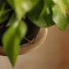 LiveTrends Ritual Hanging Ceramic Indoor Planter Basket Matte Black 6.5"x6.5"x22" - 3 of 3