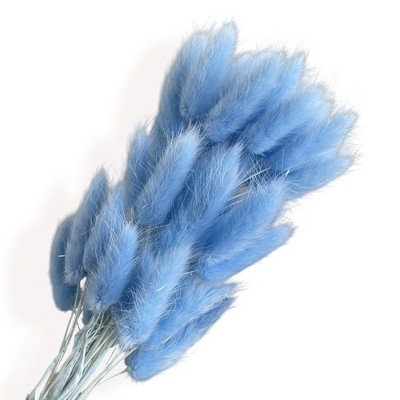 Alilang Dried Bunny Tail Grass Stems for Modern Home Decoration and Floral Arrangements, 23.5 Inches