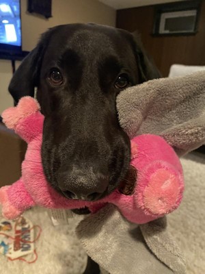 Guest review image 2 of 2, zoom in