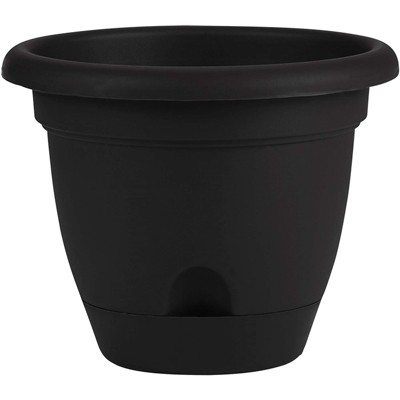 Bloem Lucca 8.8 in. H X 11 in. D Resin Planter Black Bloem Lucca 8.8 in. H X 11 in. D Resin Planter Black