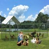 3.3x10FT Walk in Chicken Coop Metal,Large Chicken Run for Yard with Waterproof&Anti-UV Cover,Hen House for Backyard Farm,Poultry Cage for Duck,Goose - 2 of 4