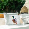 Stupell Industries Squawking Mallard Duck Outdoor Decorative Throw Pillow, 18 x 18 - 3 of 3