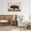 Stupell Industries Serene Buffalo on Country Hill Canvas Art - 3 of 4