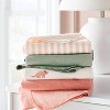 Flannel Baby Blanket - Coral Dinosaurs - 4pk - Cloud Island™ - 2 of 4