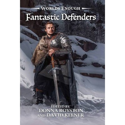 Fantastic Defenders - (Worlds Enough) by  Martin Wilsey (Hardcover)