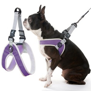 Gooby Simple Step in III Harness Purple, X - 1 of 1