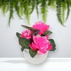Unique Bargains Artificial Plants 3-Piece Spiral Lotus Plastic 4.33"x4.33"x4.33" 1 Pcs - 2 of 4