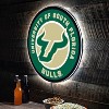 Evergreen Ultra-Thin Edgelight LED Wall Decor, Round, University of South Florida- 23 x 23 Inches Made In USA - 2 of 4