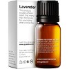 Gya Labs Lavender Essential Oil - 0.34 Fl Oz - - 2 of 4