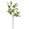 Green Leafy Flower Stems 40.5"H – Flexible EVA Foam & Wire Floral Arrangement (Set of 6) By Kalalou - 2 of 3