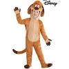 HalloweenCostumes.com Disney The Lion King Toddler Timon Costume | Disney Costumes - 4 of 4