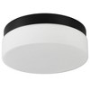 KWPZQEB Ceiling Light, Iron Round Low Profile Ceiling Light, 24W Flush Mount Ceiling Light, 3 Color Temperature Options for Bedroom, Closet Room - 2 of 4