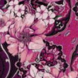 dark berry rose paisley