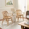 Serafima Rattan Arm Chair - ACH6702 - Safavieh - 2 of 4
