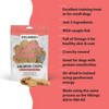 Icelandic+ Fish Chips: Salmon 2.5oz - Dog Treats, For Medium-Large Dogs - 3 of 4