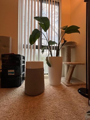 Guest review image 4 of 4, zoom in