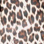 oatmeal jaguar print