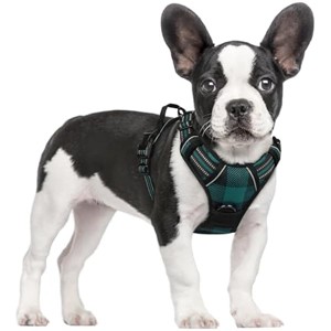rabbitgoo Dog Harness No-Pull, Comfortable Padded Plaid Pet Vest with 2 Leash Clips for Small Dog, Green Plaid, S - 1 of 1