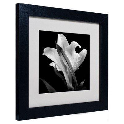 Trademark Fine Art -Michael Harrison 'Lily' Matted Framed Art