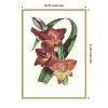 Amanti Art Paxton Tropicals II by Jennifer Paxton Parker Wood Framed Wall Art Print - 3 of 4
