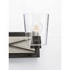Progress Lighting Briarwood 2-Light Bath Wall Light, Graphite, Clear Glass Shade - 4 of 4