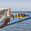 Cotton Cordell Crazy Shad 3/8 oz Fishing Lure - 3 of 3