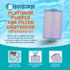 Hurricane 3 Pack HF6H940-01P Platinum Purple Pool and Spa Filter Cartridge Replacement for PWW50P3, Unicel 6CH-940, Filbur FC-0359 - 2 of 4