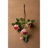 Artificial Antique Garden Rose Stem – 26" Tall Faux Floral Accent, Set of 6 by Kalalou - 2 of 3