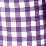 purple orchid gingham
