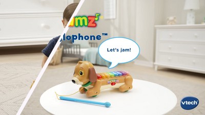VTech Zoo Jamz Doggy Xylophone : Target