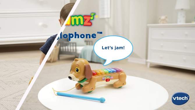 VTech Zoo Jamz Xylophone, 2 of 11, play video
