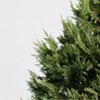 11" Christmas Tree - Good Little Garden™ - 3 of 4
