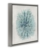 Stupell Industries Coral Ball Blue Sea Beach Design, 25" x 25" - 3 of 4