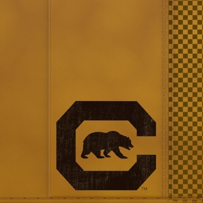 california golden bears