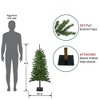 Northlight 4' Alpine Artificial Christmas Tree - Unlit - 2 of 4