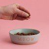 Mason Cash: Meow Cat Bowl, 5.1", 10.1oz, Green & Tan, Food & Water Dish - 2 of 4
