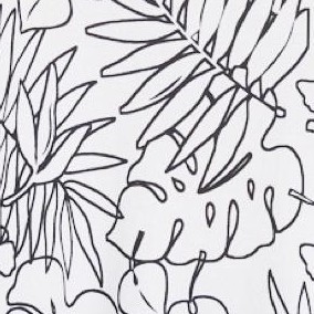 white palms