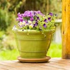 Bosmere Plant Stand Down Under Plant Turner-Saucer, Terracotta, 16in - 3 of 3