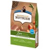 Rachael Ray Nutrish Zero Grain Chicken And Sweet Potato Dry Dog Food ...