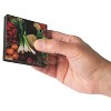 S&S Worldwide Nutritional Memory Match Game - 4 of 4