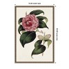Amanti Art Pink Floral Mix III by Bette Ridgeway Framed Canvas Wall Art - 4 of 4