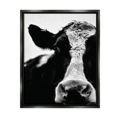 Cow Face 12x12 Canvas Print Hanging Wall Art Decor for Farmhouse