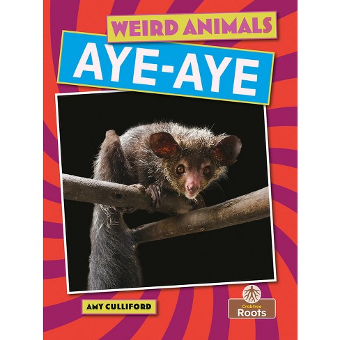 aye aye animal