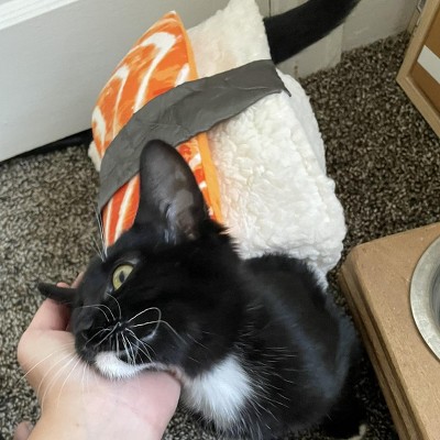 Guest review image 1 of 2, zoom in