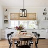 TOBILI 25 styles of single-head pendant lights in black.5 - 4 of 4