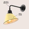 JONATHAN Y Croydon Farmhouse Industrial Indoor/Outdoor Iron LED Gooseneck Arm Outdoor Sconce - 3 of 4