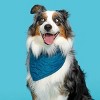 BARK Home Dapper Dog Bandana - Teal Blue - 4 of 4