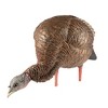 Avian X Heavy Duty Realism Feeding Hen Decoy - 2 of 2